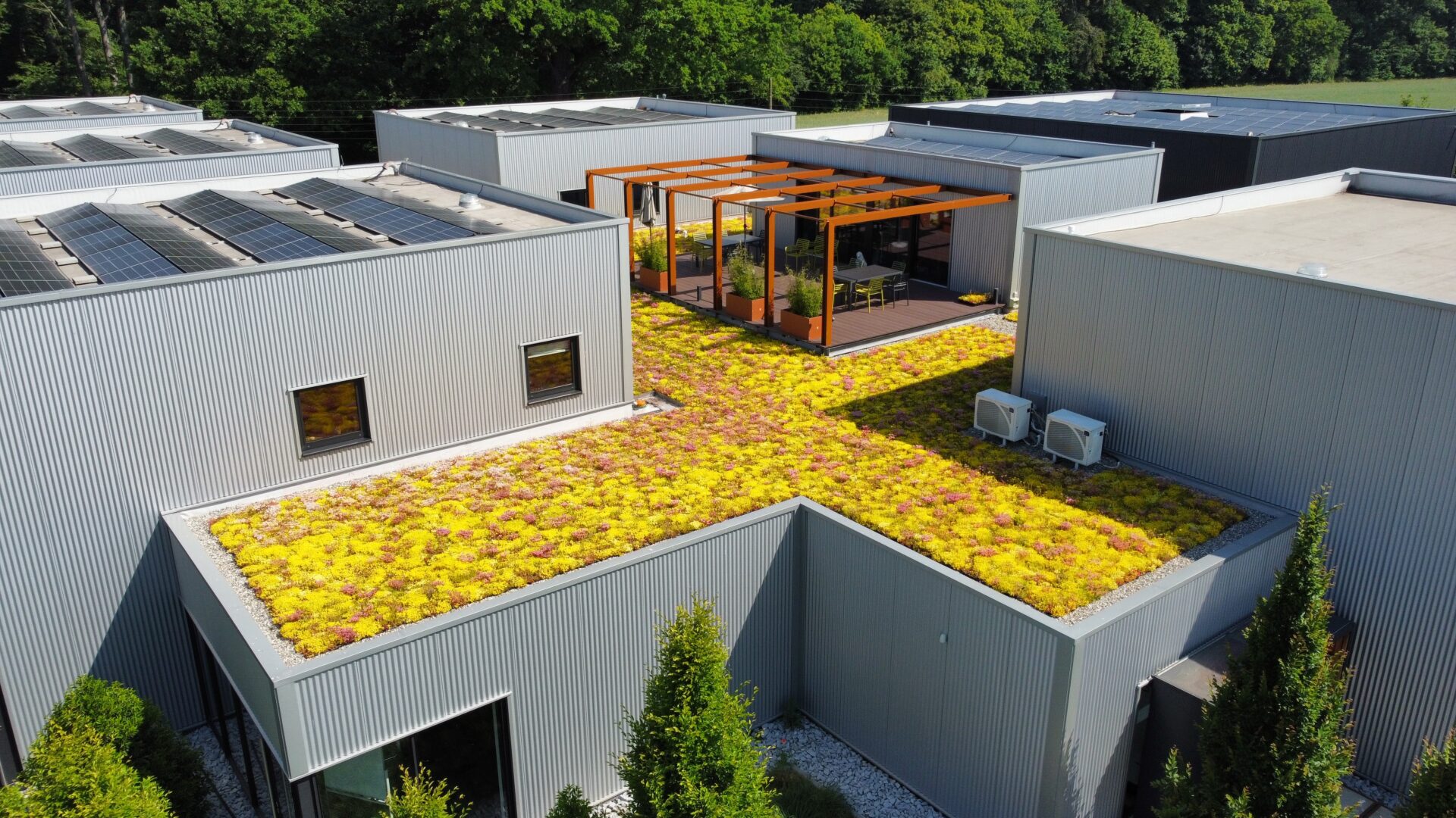 Bürogebäude mit begrünter Dachterrasse in voller Blühte